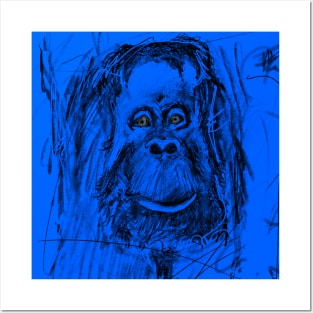 Monkey see Monkey do Posters and Art